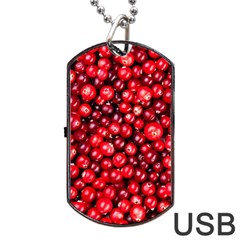 Cranberries 2 Dog Tag Usb Flash (one Side) by trendistuff