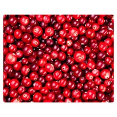Cranberries 2 Double Sided Flano Blanket (medium)  by trendistuff