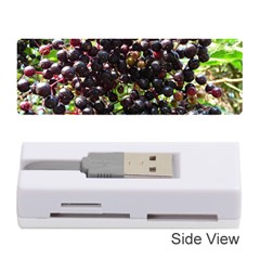 Elderberries Memory Card Reader (stick)  by trendistuff