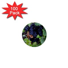 Grapes 3 1  Mini Buttons (100 Pack)  by trendistuff