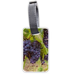 Grapes 4 Luggage Tags (two Sides) by trendistuff