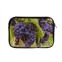 Grapes 4 Apple Macbook Pro 15  Zipper Case by trendistuff
