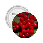 RED BERRIES 2 2.25  Buttons