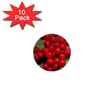 RED BERRIES 2 1  Mini Magnet (10 pack) 