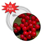 RED BERRIES 2 2.25  Buttons (10 pack) 