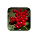 RED BERRIES 2 Rubber Square Coaster (4 pack) 