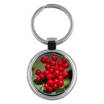 RED BERRIES 2 Key Chains (Round) 