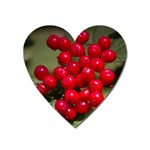 RED BERRIES 2 Heart Magnet