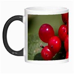 RED BERRIES 2 Morph Mugs