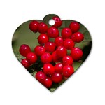 RED BERRIES 2 Dog Tag Heart (One Side)