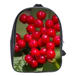 RED BERRIES 2 School Bag (Large)