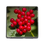 RED BERRIES 2 Memory Card Reader (Square)