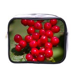 RED BERRIES 2 Mini Toiletries Bags