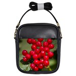 RED BERRIES 2 Girls Sling Bags