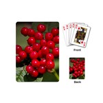 RED BERRIES 2 Playing Cards (Mini) 