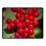 RED BERRIES 2 Double Sided Fleece Blanket (Small) 