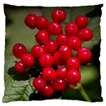 RED BERRIES 2 Large Flano Cushion Case (One Side)