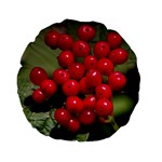 RED BERRIES 2 Standard 15  Premium Flano Round Cushions