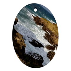 Jobo Beach Isabela Puerto Rico  Oval Ornament (two Sides) by StarvingArtisan