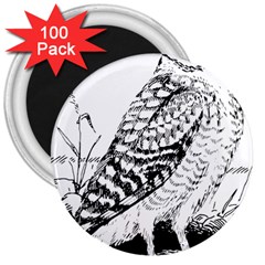 Animal Bird Forest Nature Owl 3  Magnets (100 Pack)