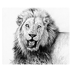 Lion Wildlife Art And Illustration Pencil Double Sided Flano Blanket (small) 