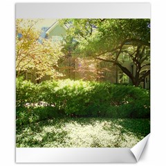 Highland Park 19 Canvas 8  X 10  by bestdesignintheworld