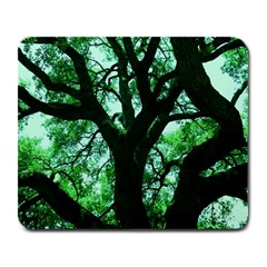 Lake Park 3 Large Mousepads by bestdesignintheworld