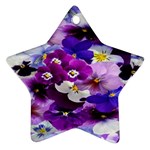 Graphic Background Pansy Easter Ornament (Star)