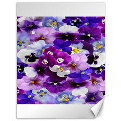 Graphic Background Pansy Easter Canvas 36  X 48   by Sapixe