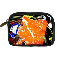 Smashed Butterfly 6 Digital Camera Cases by bestdesignintheworld