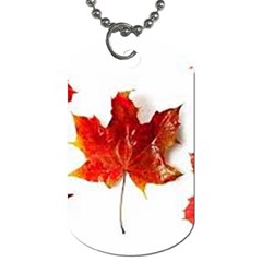 Innovative Dog Tag (two Sides) by GlobidaDesigns