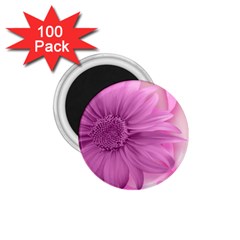 Flower Design Romantic 1 75  Magnets (100 Pack)  by Sapixe
