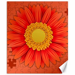 Flower Plant Petal Summer Color Canvas 20  X 24   by Sapixe