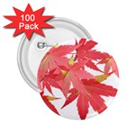 Leaves Maple Branch Autumn Fall 2.25  Buttons (100 pack) 