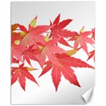 Leaves Maple Branch Autumn Fall Canvas 16  x 20  