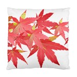 Leaves Maple Branch Autumn Fall Standard Cushion Case (One Side)