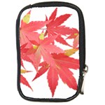 Leaves Maple Branch Autumn Fall Compact Camera Cases