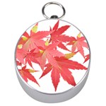 Leaves Maple Branch Autumn Fall Silver Compasses