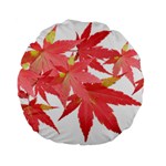 Leaves Maple Branch Autumn Fall Standard 15  Premium Flano Round Cushions