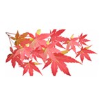 Leaves Maple Branch Autumn Fall Satin Wrap