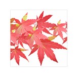 Leaves Maple Branch Autumn Fall Small Satin Scarf (Square)