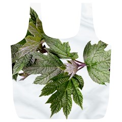 Leaves Plant Branch Nature Foliage Full Print Recycle Bags (l)  by Sapixe