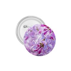 Pink Lilac Flowers 1 75  Buttons by FunnyCow