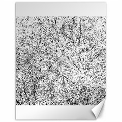 Willow Foliage Abstract Canvas 12  X 16  