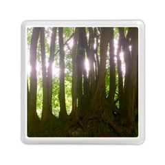 Tree Of Trees Memory Card Reader (square) 