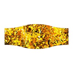 Birch Tree Yellow Leaves Stretchable Headband by FunnyCow