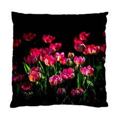 Pink Tulips Dark Background Standard Cushion Case (two Sides) by FunnyCow