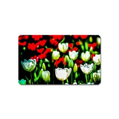 White And Red Sunlit Tulips Magnet (name Card) by FunnyCow