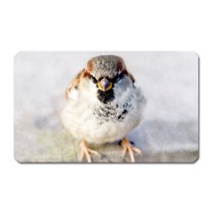 Do Not Mess With Sparrows Magnet (rectangular) by FunnyCow