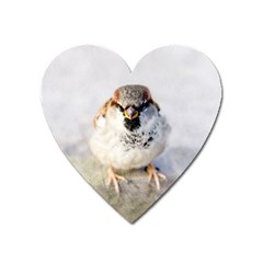 Do Not Mess With Sparrows Heart Magnet by FunnyCow